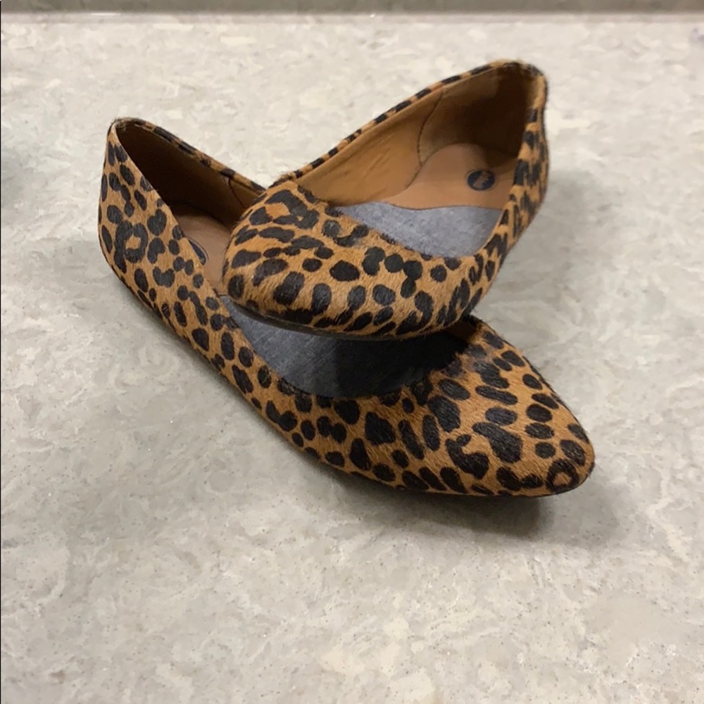 Cheetah Flats